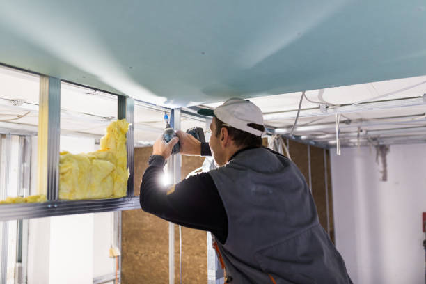 Best Commercial Insulation Contractor  in Bass Lake, IN