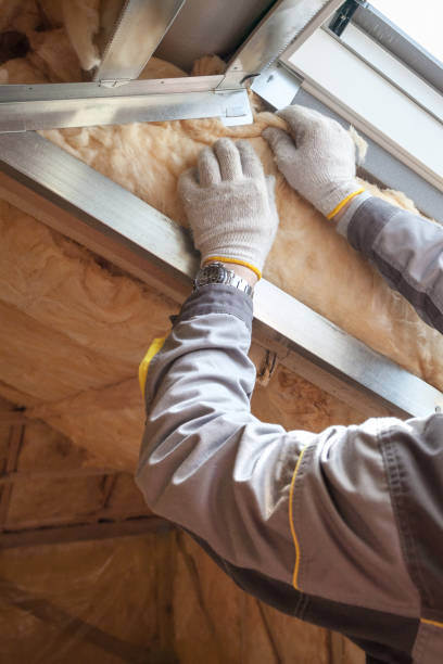 Best Insulation Replacement Services  in Bass Lake, IN