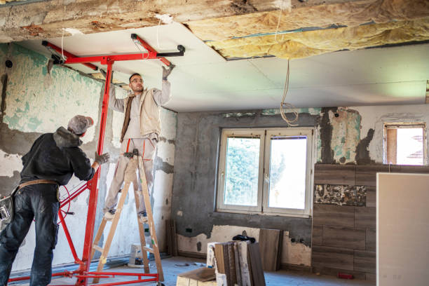 Insulation Repair Services in Bass Lake, IN