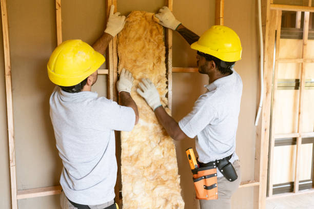 Best Insulation for New Construction  in Bass Lake, IN