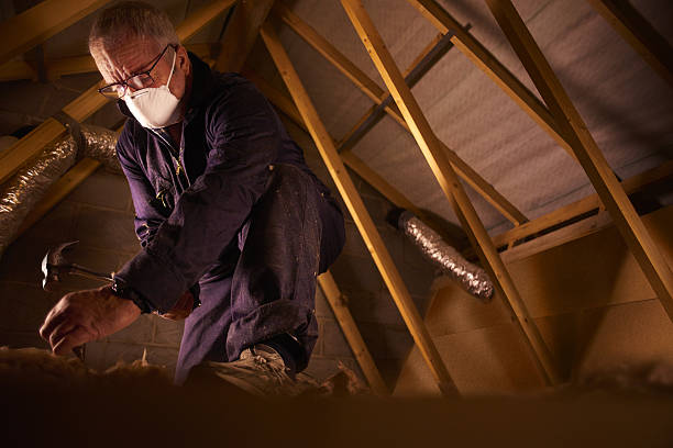 Best Soundproof Insulation Installation  in Bass Lake, IN